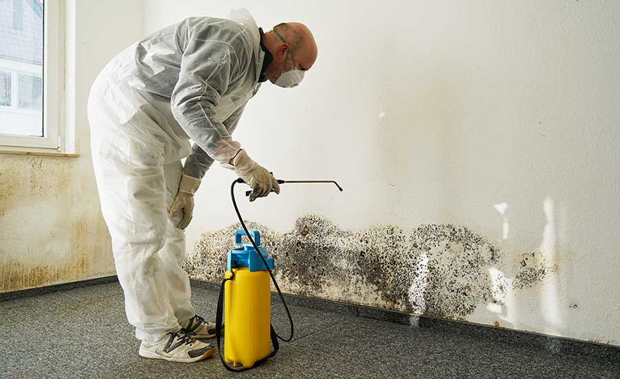 mold-removal